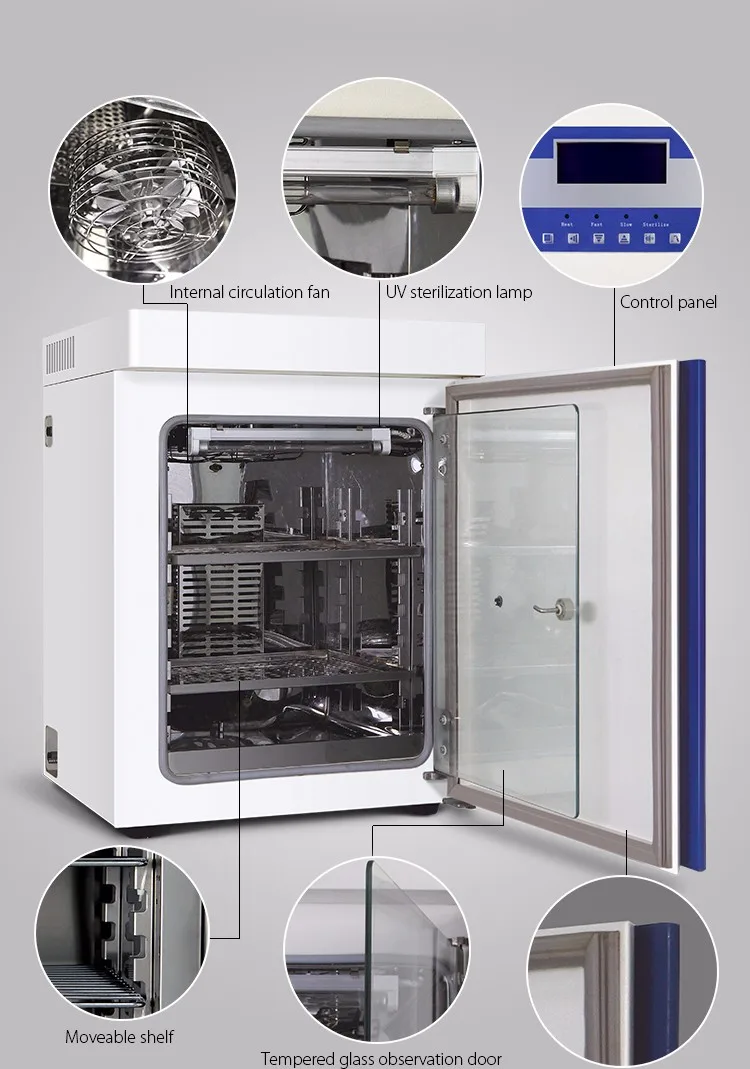 Incubator Co2 Lab - Laboratory CO2 Incubator for Bacterial Cell