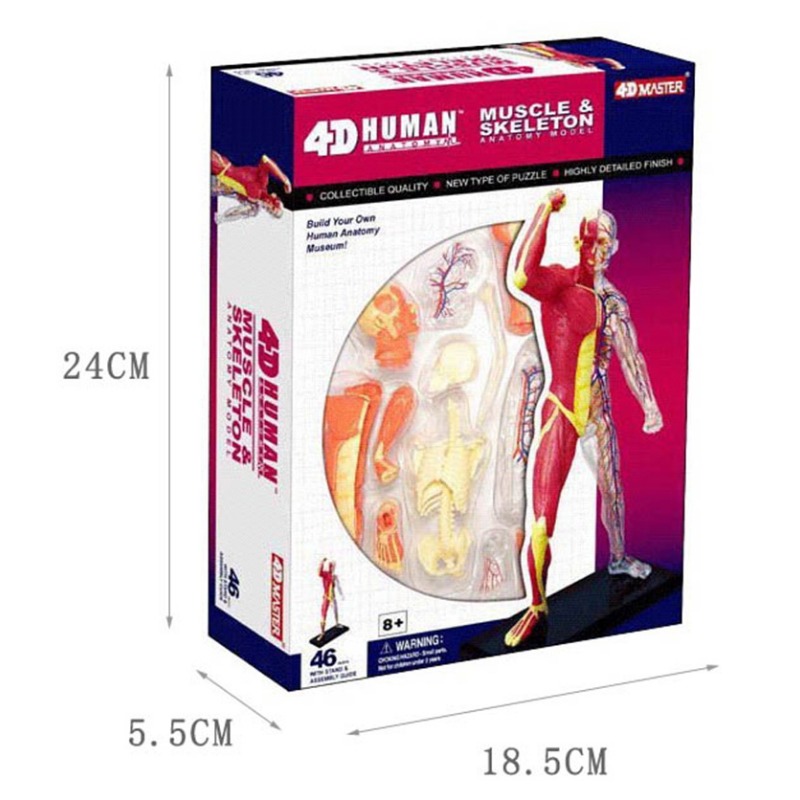 Medical Lab Technology - Anatomy 4d Human Muscle Skeleton Medical