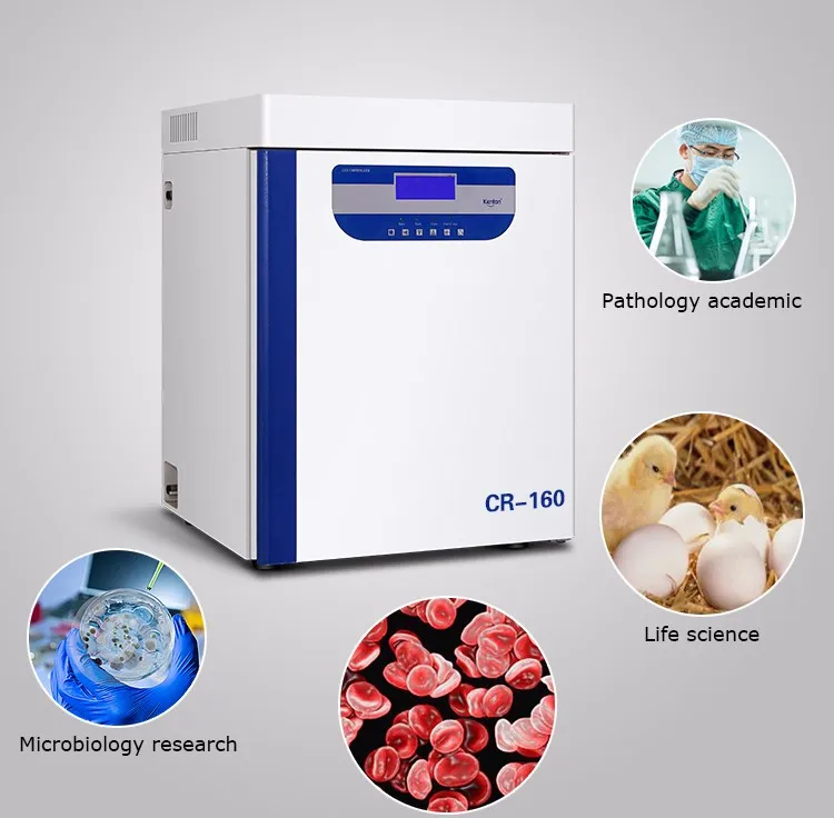 Laboratory CO2 Incubator for B - Incubator Co2 Lab recensie en prijs